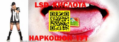 крисы Бузулук