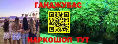 крисы Бузулук