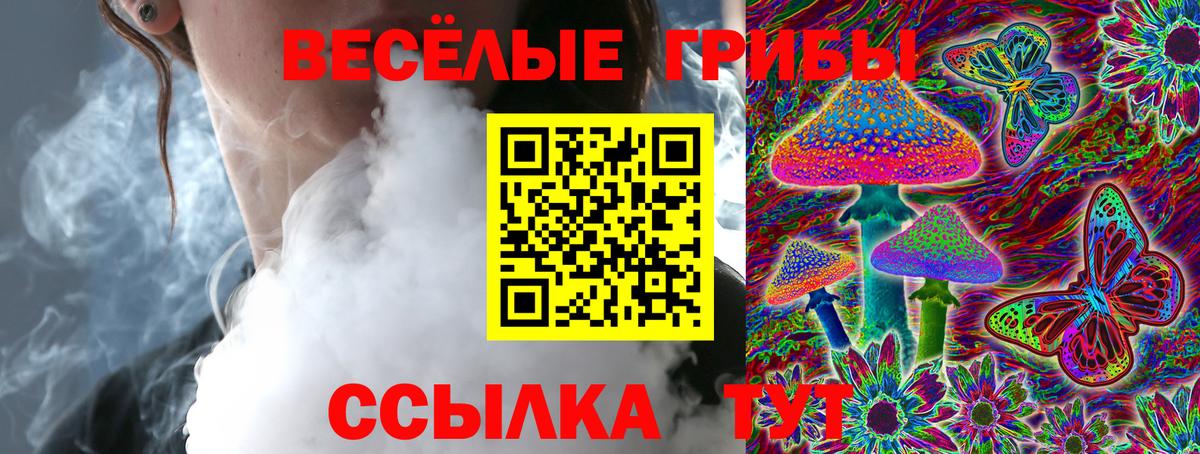 Новомосковск  Галлюциногенные грибы Cubensis  Галлюциногенные грибы Cubensis  даркнет сайт  Вход с VPN 